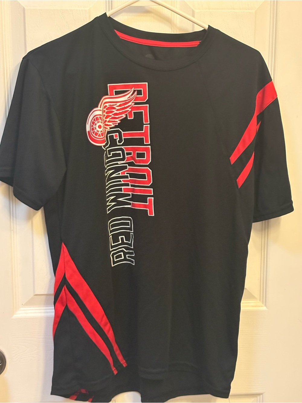NHL Detroit Red Wings Black and Red Short Sleeve Tee